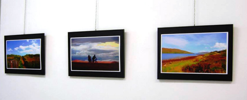 mostra enrico bartolucci